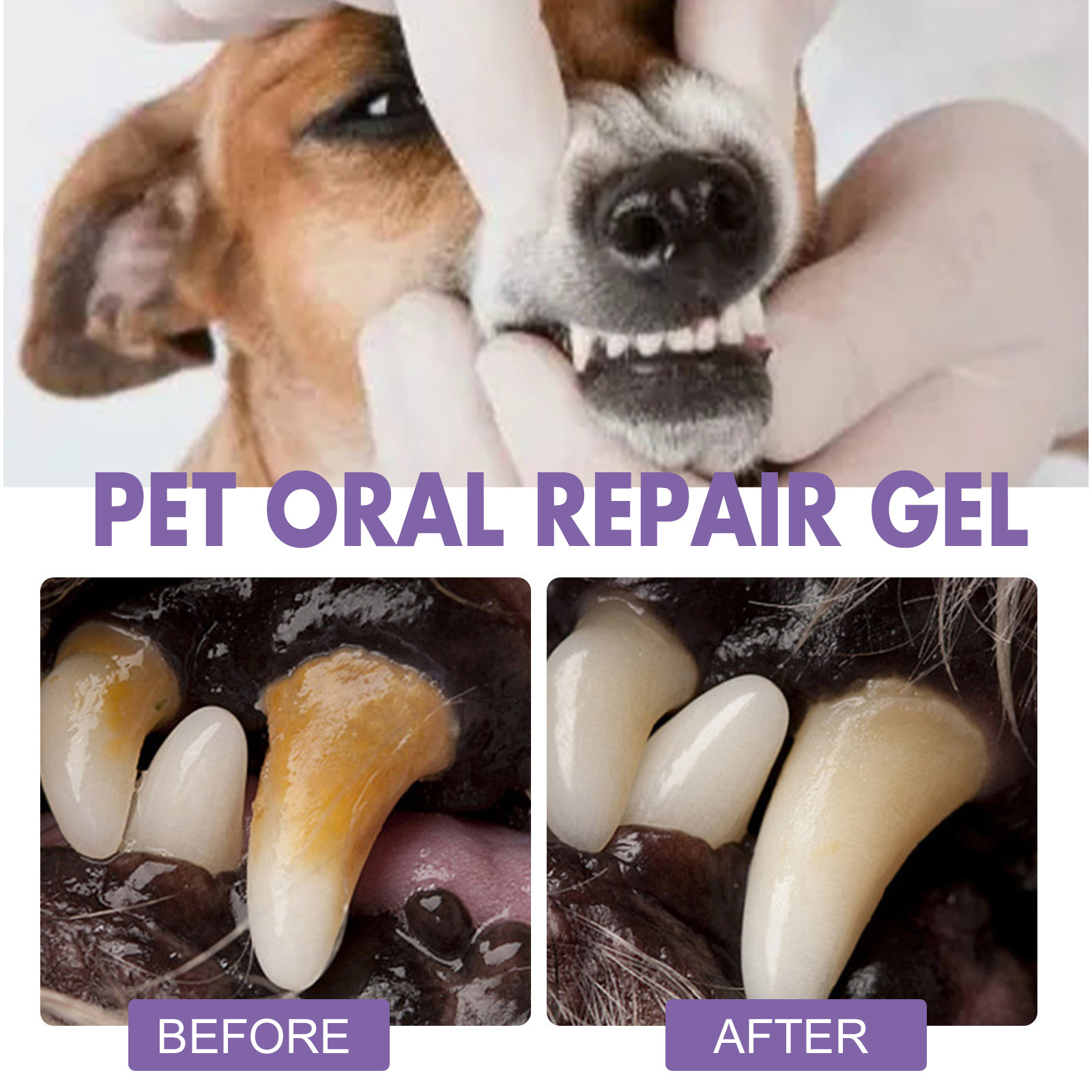 Gel de reparação oral para ani - Teeth Whitening And Stain Removal avaliação e preço